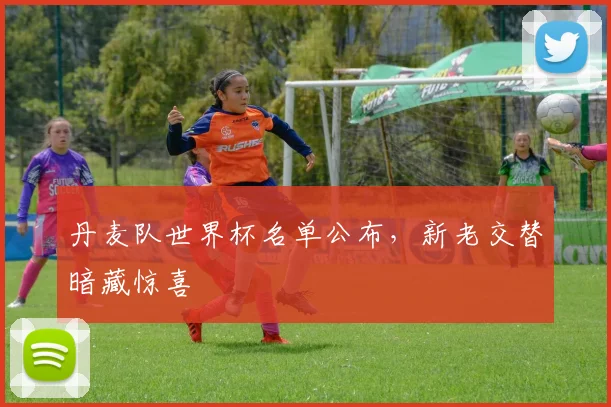 丹麦队世界杯名单公布，新老交替暗藏惊喜