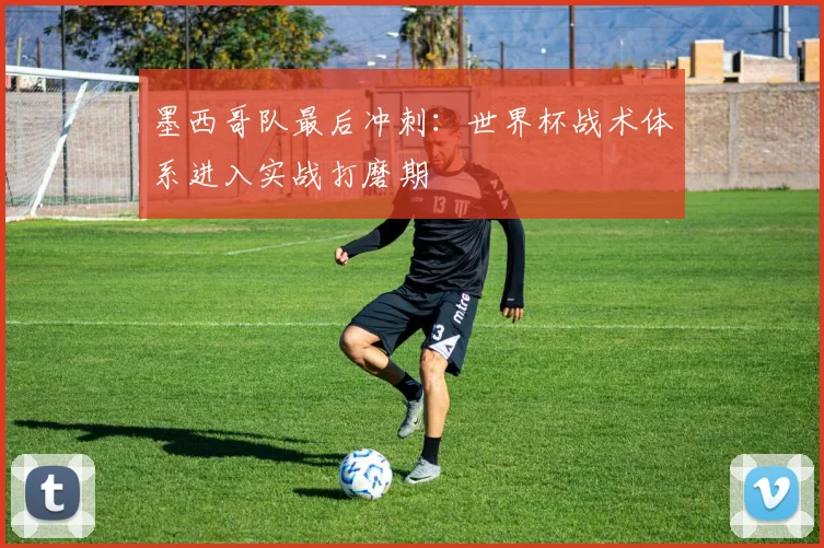 墨西哥队最后冲刺：世界杯战术体系进入实战打磨期