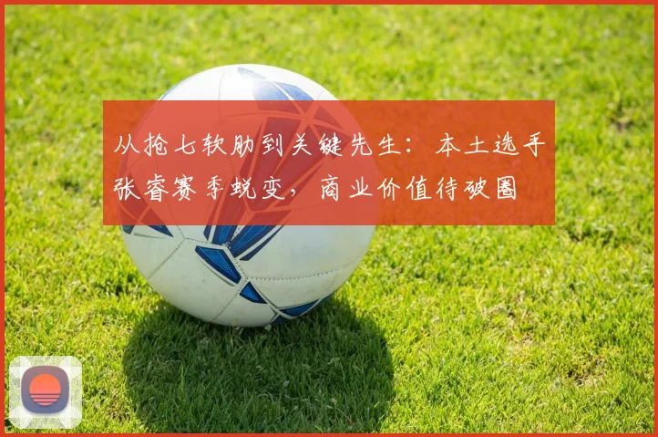 从抢七软肋到关键先生：本土选手张睿赛季蜕变，商业价值待破圈