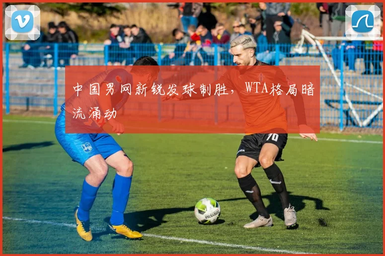中国男网新锐发球制胜，WTA格局暗流涌动