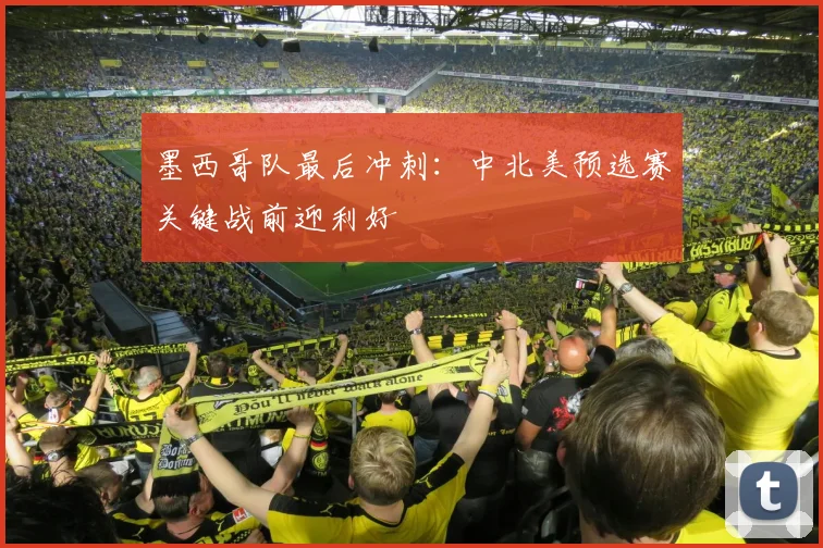 墨西哥队最后冲刺：中北美预选赛关键战前迎利好