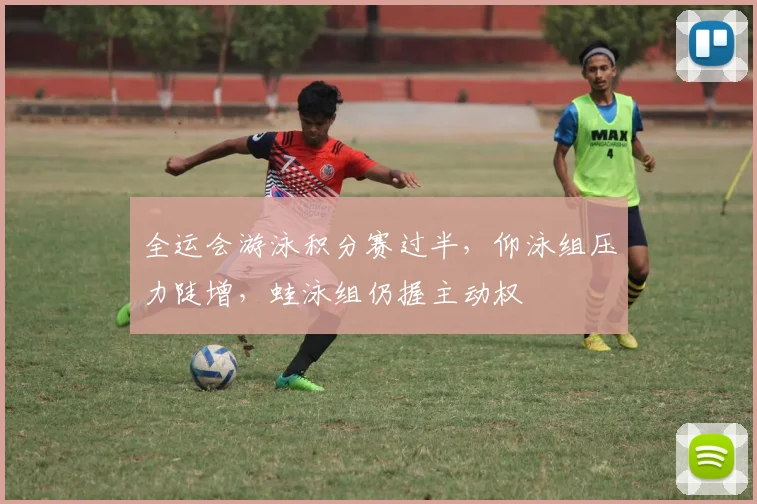全运会游泳积分赛过半，仰泳组压力陡增，蛙泳组仍握主动权
